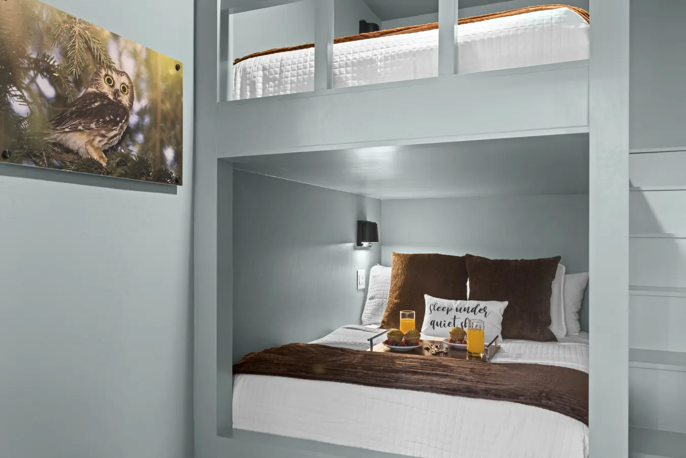 Cozy built-in bunks with an owl keeping watch — perfect for the kids' corner at Eagle's Vista.