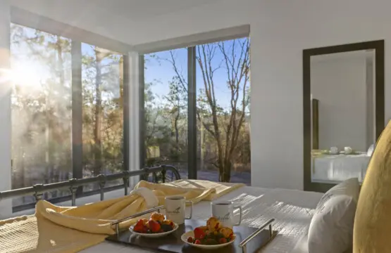 Wake up to floor-to-ceiling windows framing pristine forest views from your private bedroom sanctuary.