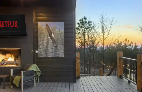 Outdoor fireplace, Netflix on the TV, and a bald eagle print—because the deck vibes at Eagle's Vista stay cozy after sunset.