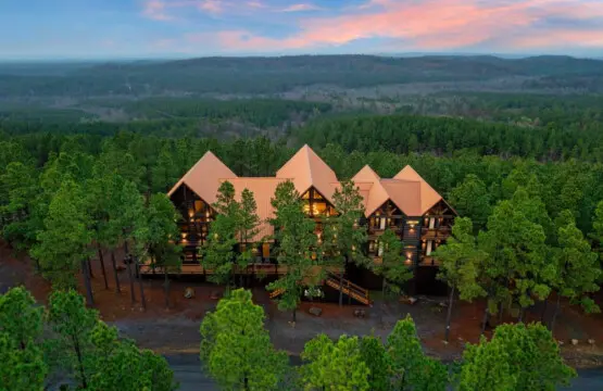This stunning forest mansion sits nestled among towering pines with incredible views stretching for miles.