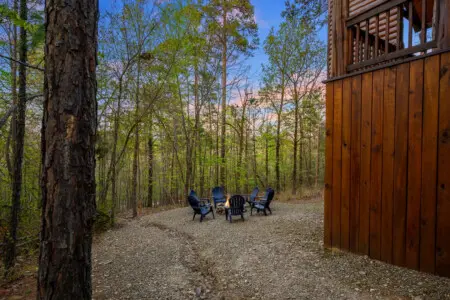 Treetop is where memories are made