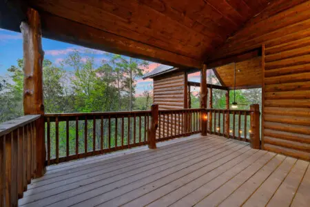 Surrounded by pines and peaceful vibes at Treetop