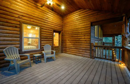 Just another peaceful day at Treetop