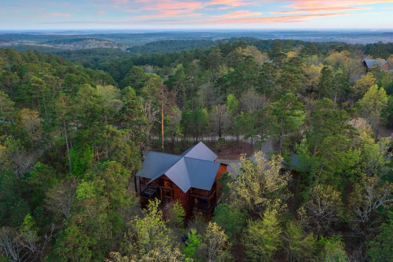 Hidden in the trees, found at Treetop