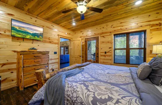 Treetop: where every bedroom feels like a hug