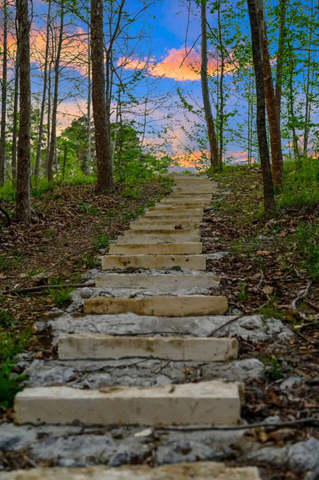 Relax outdoors on the spacious deck, perfect for enjoying the peaceful pond.