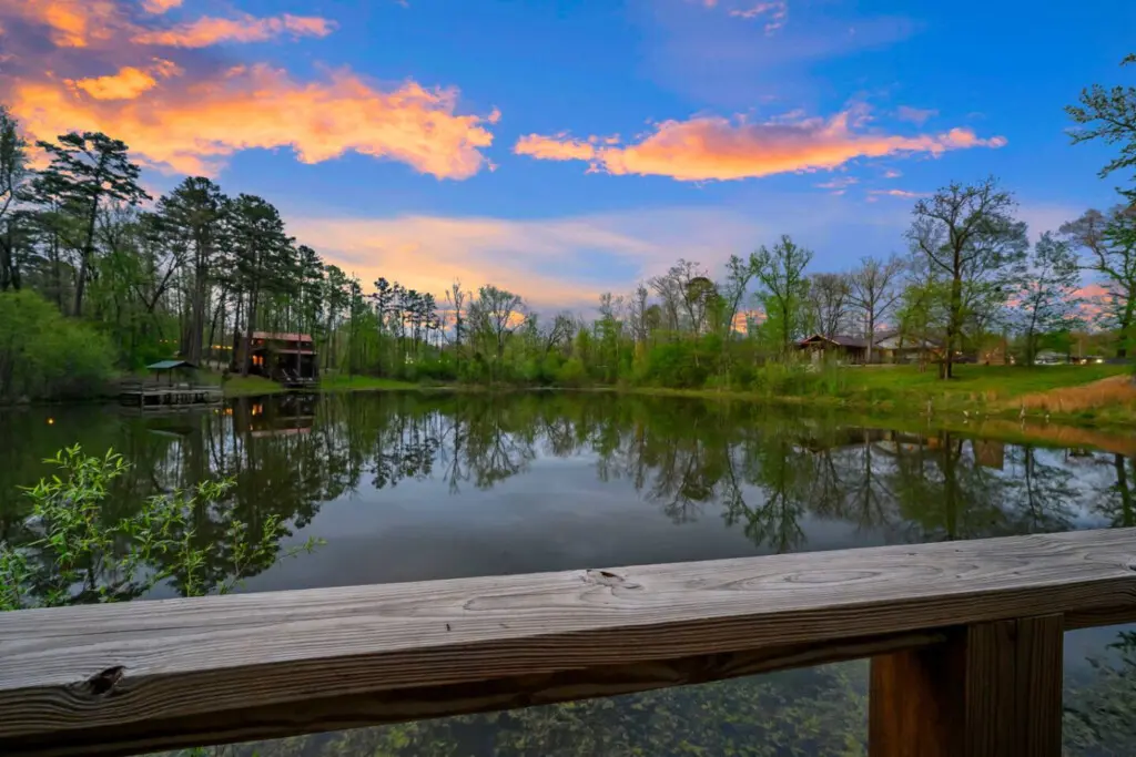 Comfortable bunks provide a fun sleeping space for the younger guests.