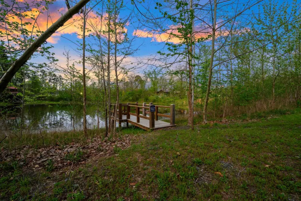 Gather around the fire pit for s'mores by the water under a starlit sky.