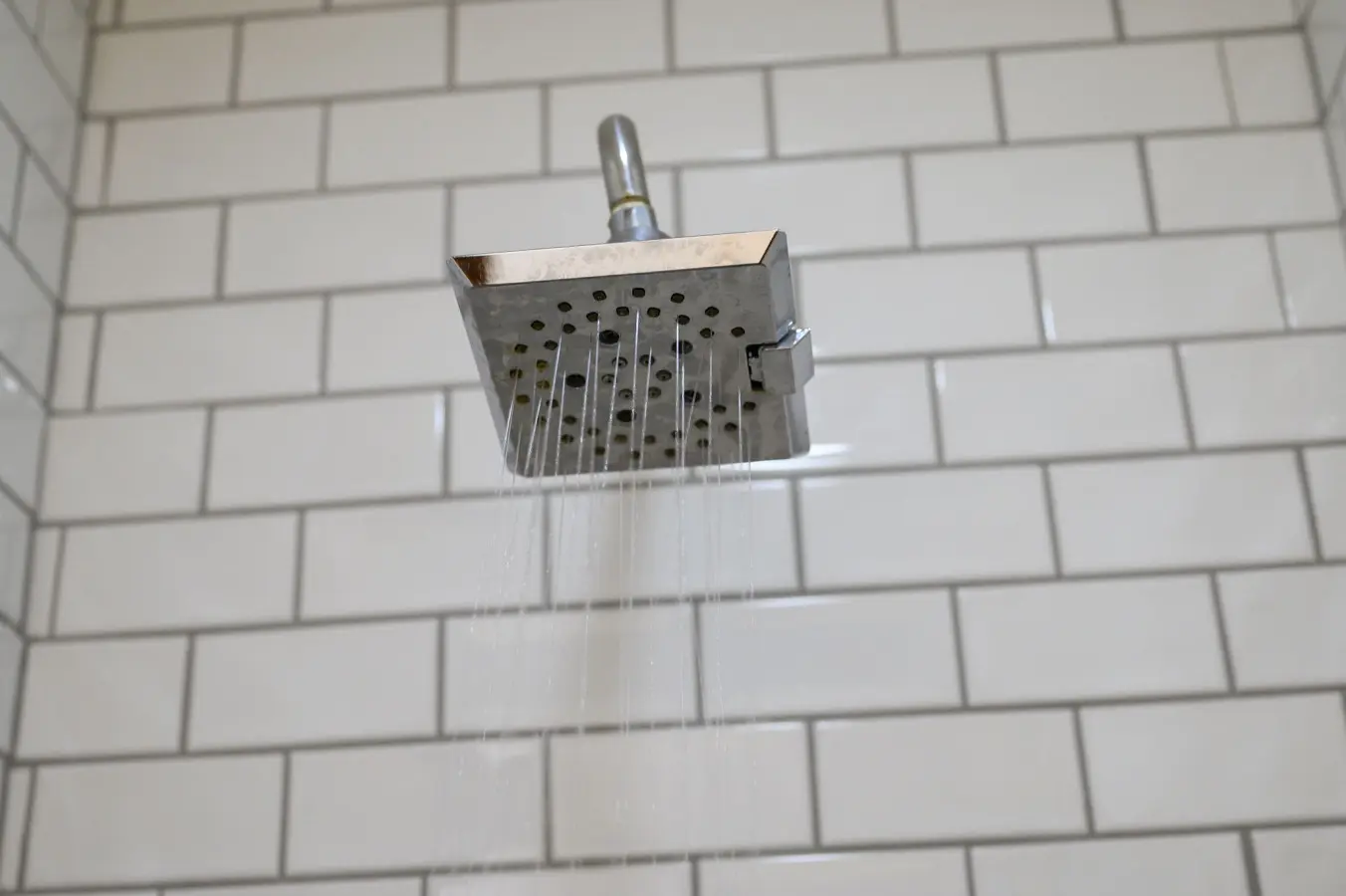 65934 514190 NJW5Vp8RXpD4bnwxOKBgnUVY6gPUeLY s3gYmyJBgaI 69f26976d7494.jpg