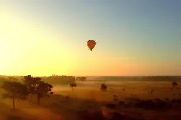 Bob Balloon Rides