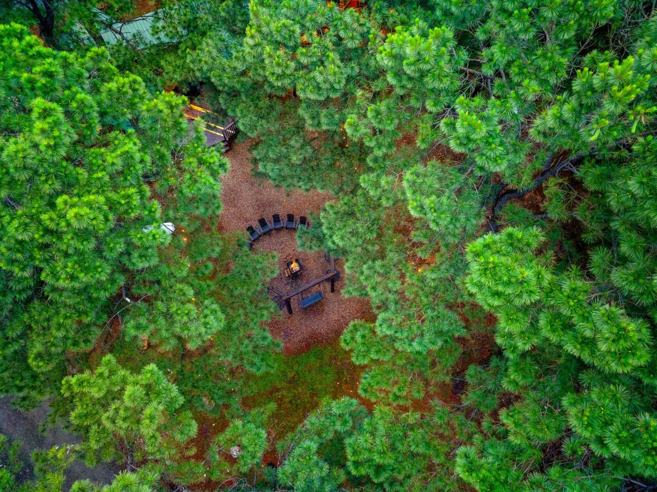 Nestled in nature, captured from above.