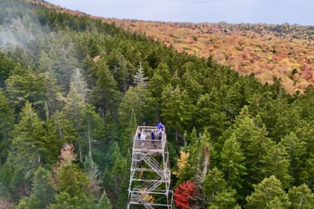 Stay close to nature, and even closer to the view.