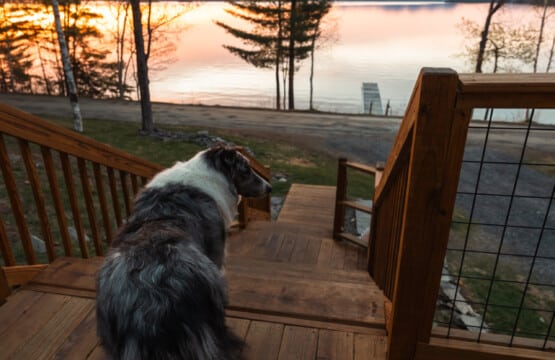 Even the dog knows u2014 there's no better view than a golden-hour lake from this deck.