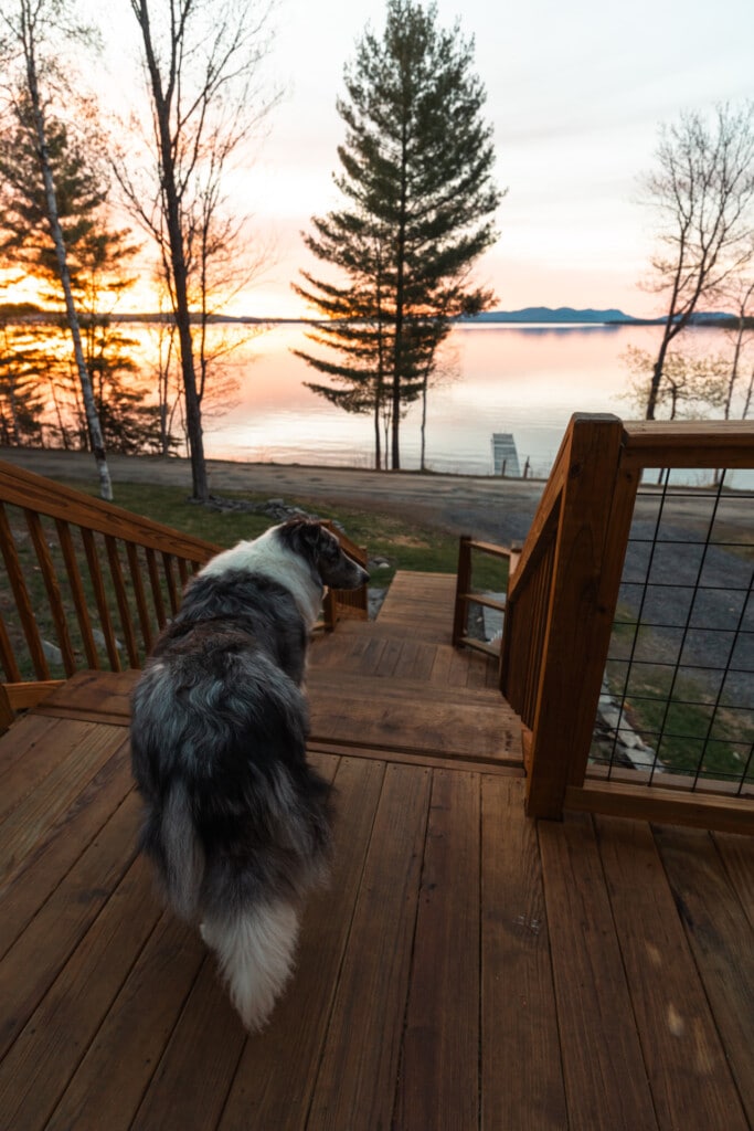 Even the dog knows u2014 there's no better view than a golden-hour lake from this deck.