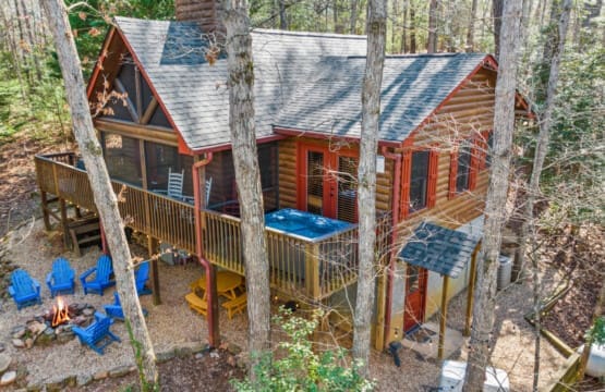 "Escape to the canopy: our cabins offer a breathtaking view from above among the trees.
