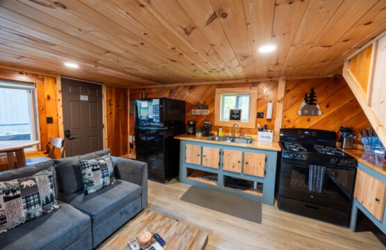 Living room + kitchen = heart of the cabin