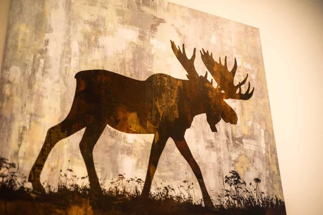 A glimpse into the wild.