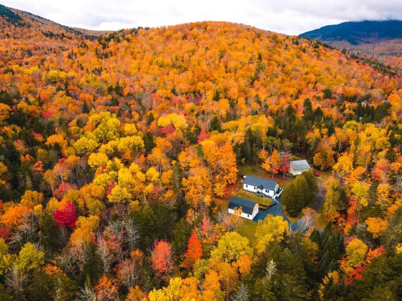 Where the cabin blends with autumn's canvas.