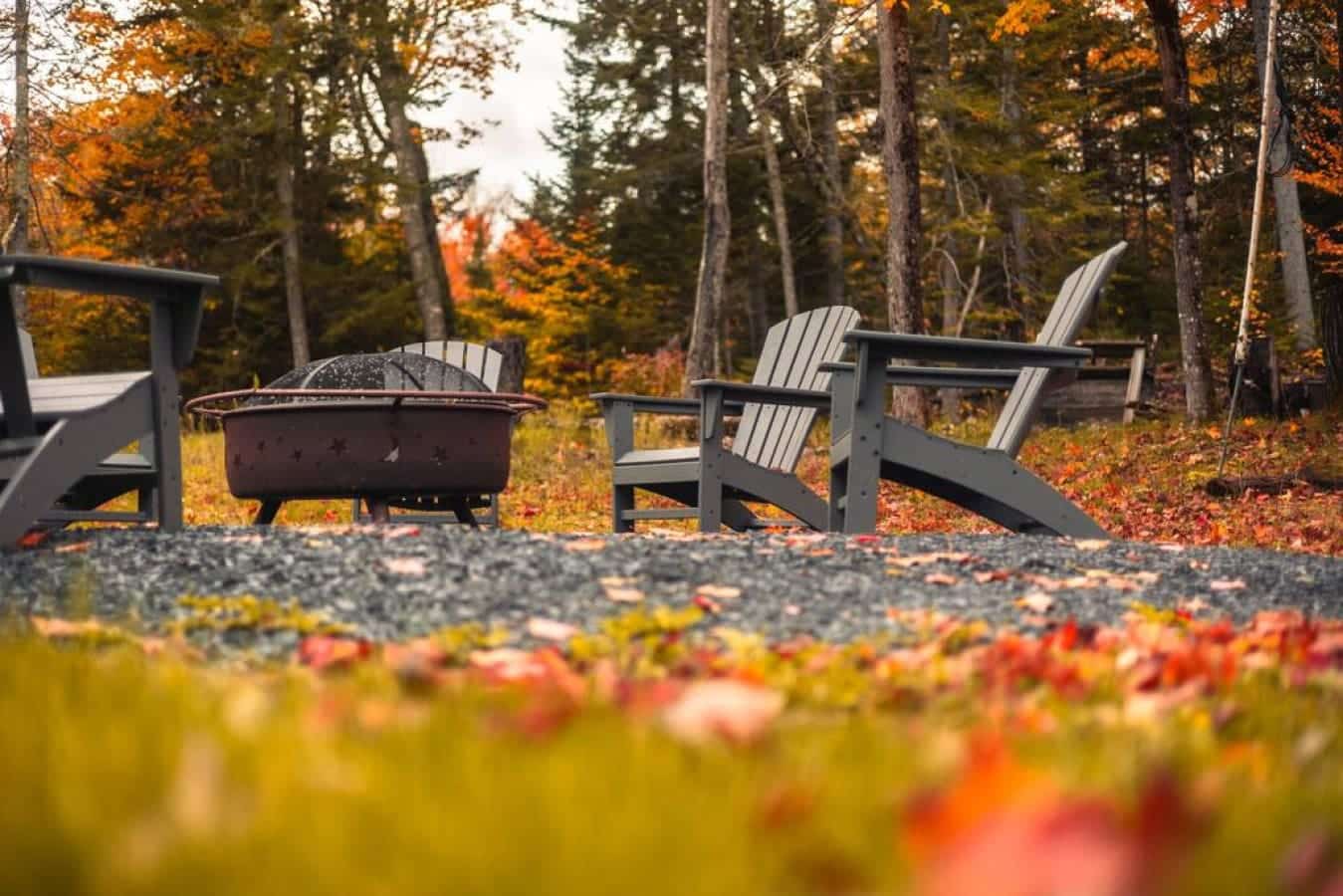 A circle of warmth under the stars.