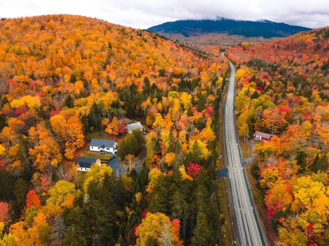A tranquil hideaway in a forest of hues.