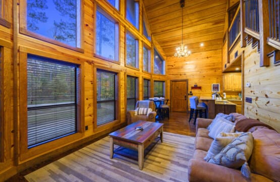 "A sanctuary for laughter and relaxation.