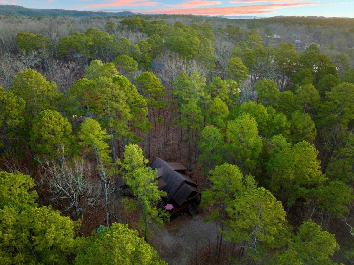 Experience the beauty of nature from our cabin retreat, where every view is a masterpiece.