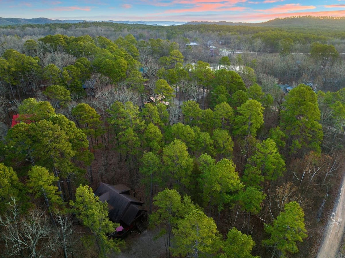 Step into a world of enchantment with our cabin view, where the forest comes alive with magic.