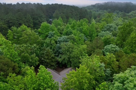 Perched among the trees, our cabin is a tranquil haven from above. ud83cudf32ud83cudfe0