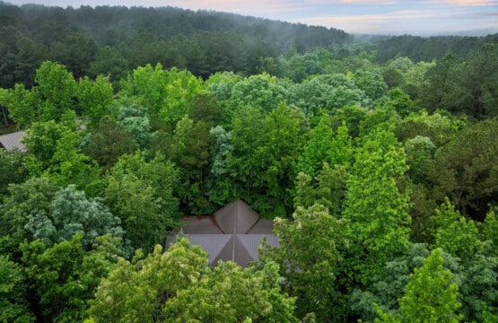 Cabin life surrounded by a forest symphony. ud83cudfb6ud83cudfe1