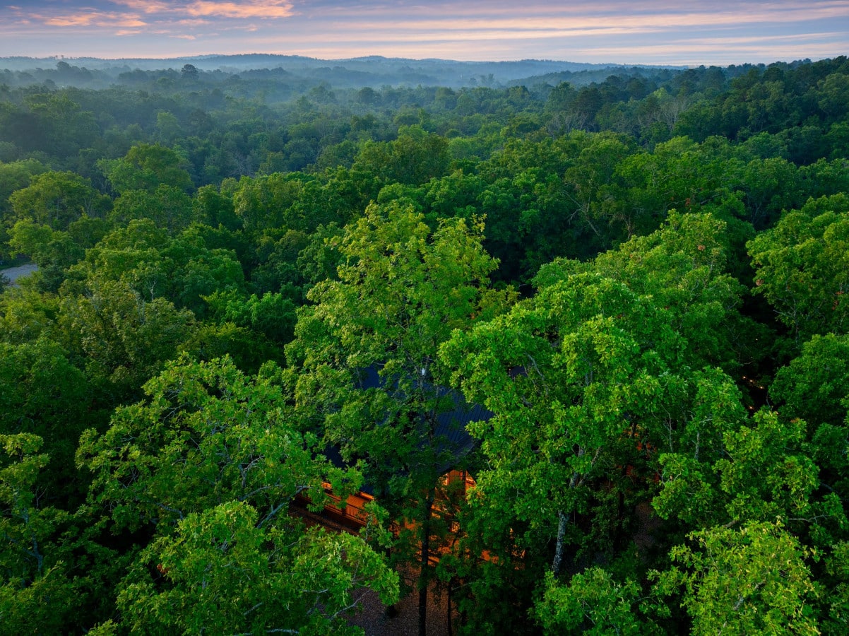 Experience the ultimate forest getaway with our cabin snugly tucked away among towering trees.