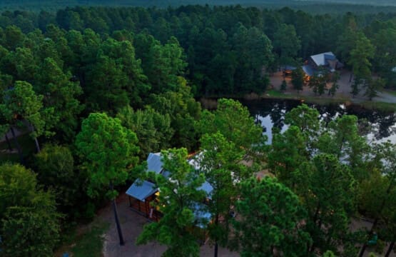 Immerse yourself in nature with our cabin, beautifully framed by a canopy of trees that offer shade, serenity, and stunning views.