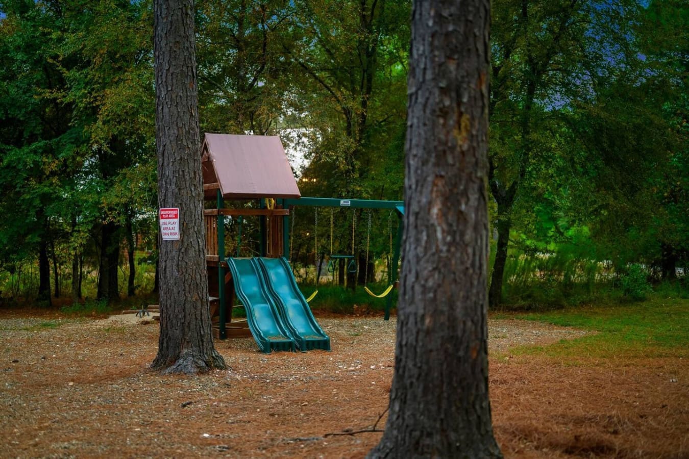 Your kids are gonna lose their minds over this playground tucked right into the trees—it's like having your own private park steps away from the cabin.