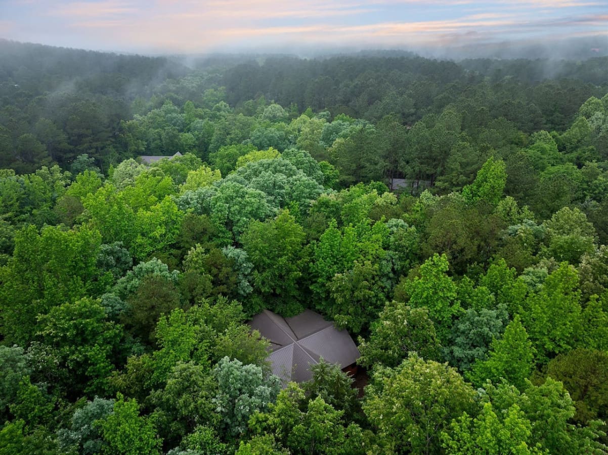 Lost in the woods, found in the heart of home. 🌲
