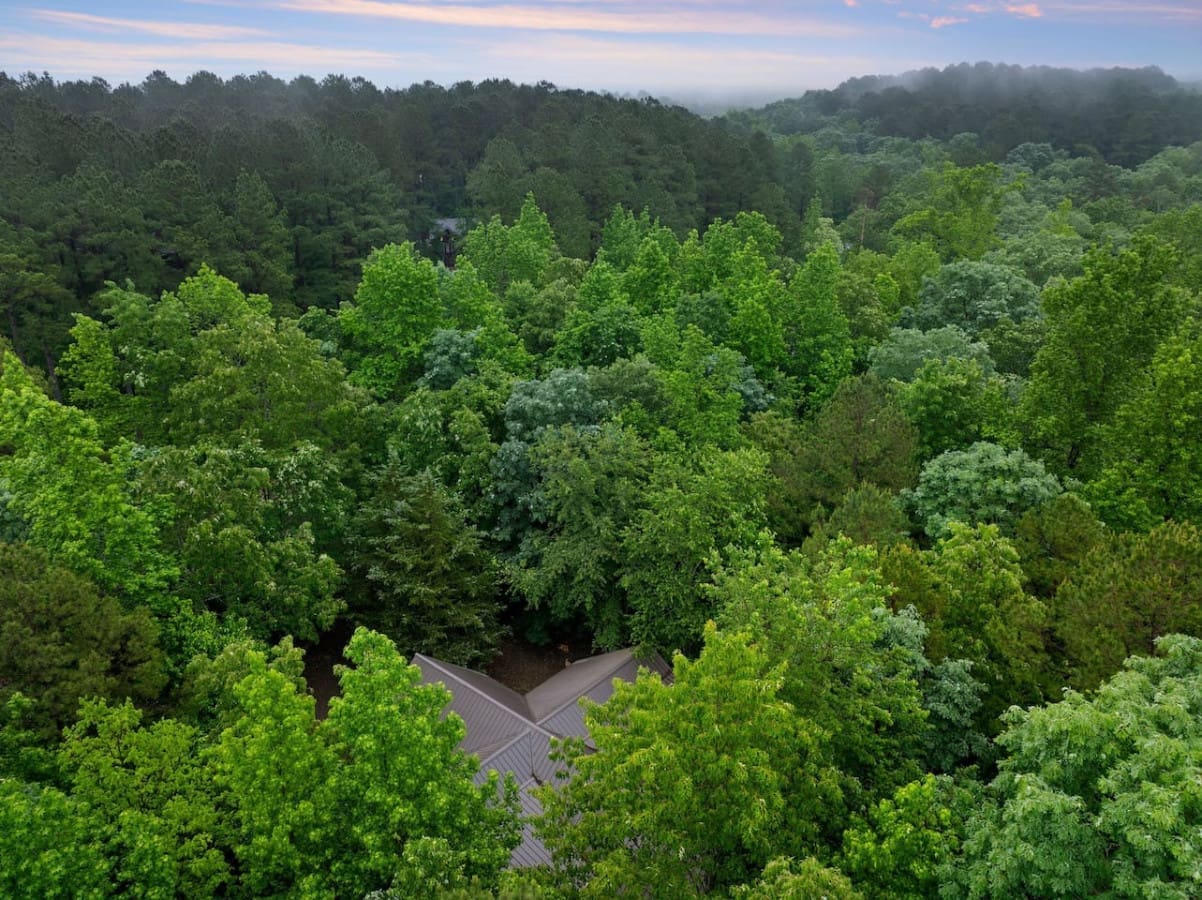 Perched among the trees, our cabin is a tranquil haven from above. 🌲🏠