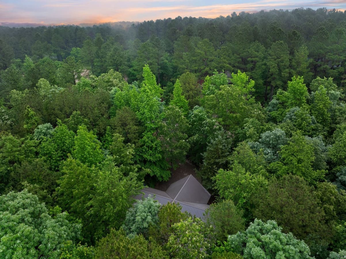 Nestled among trees, where peace finds its home. 🌳