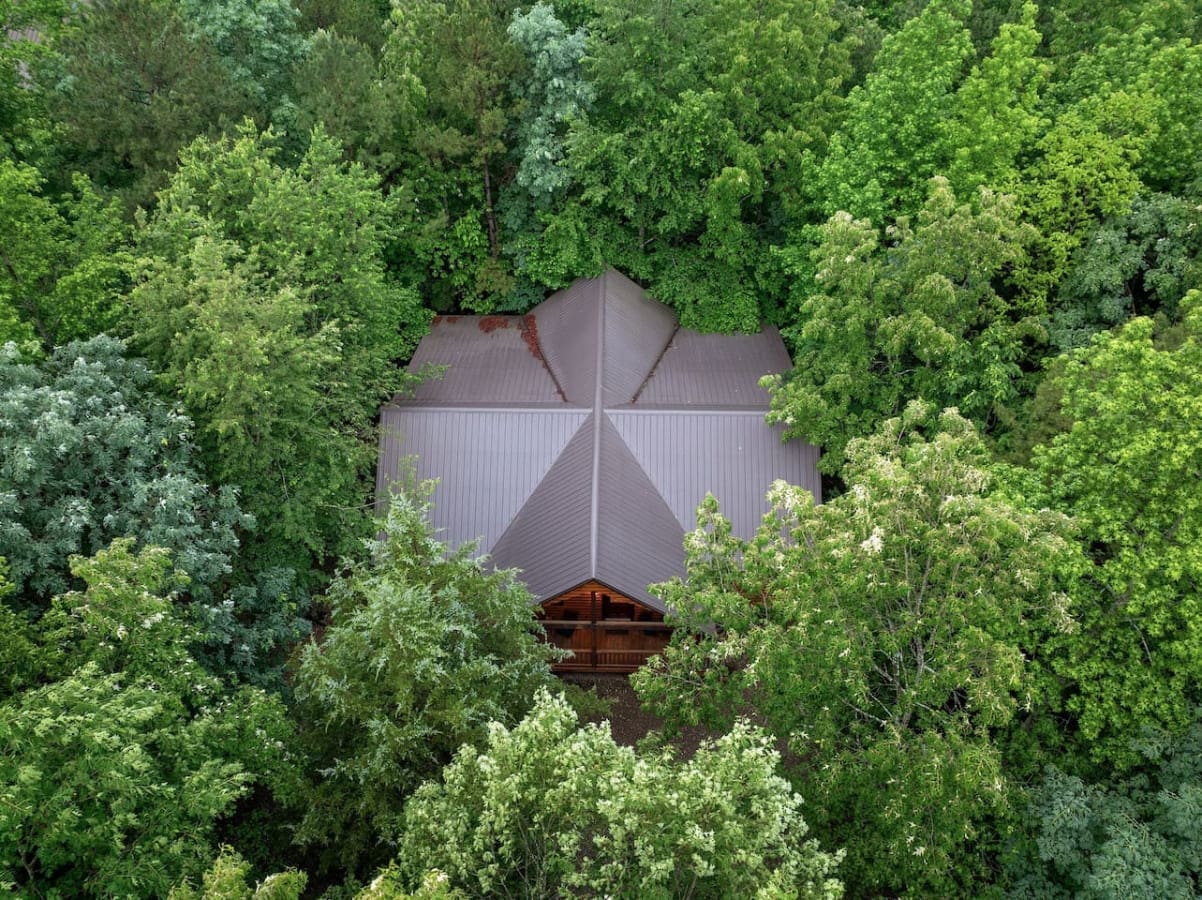 A rustic hideaway in a forest oasis. 🌿🏠