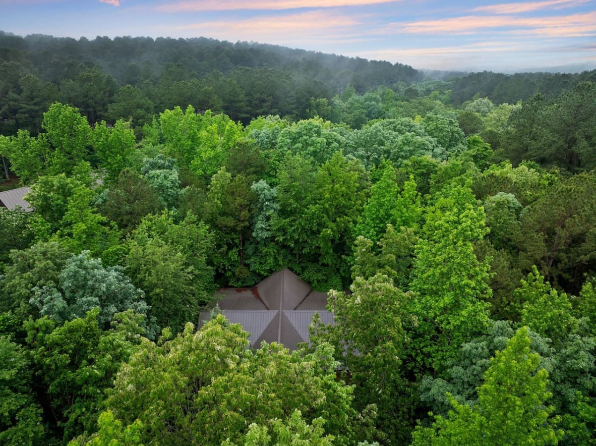 Cabin life surrounded by a forest symphony. 🎶🏡