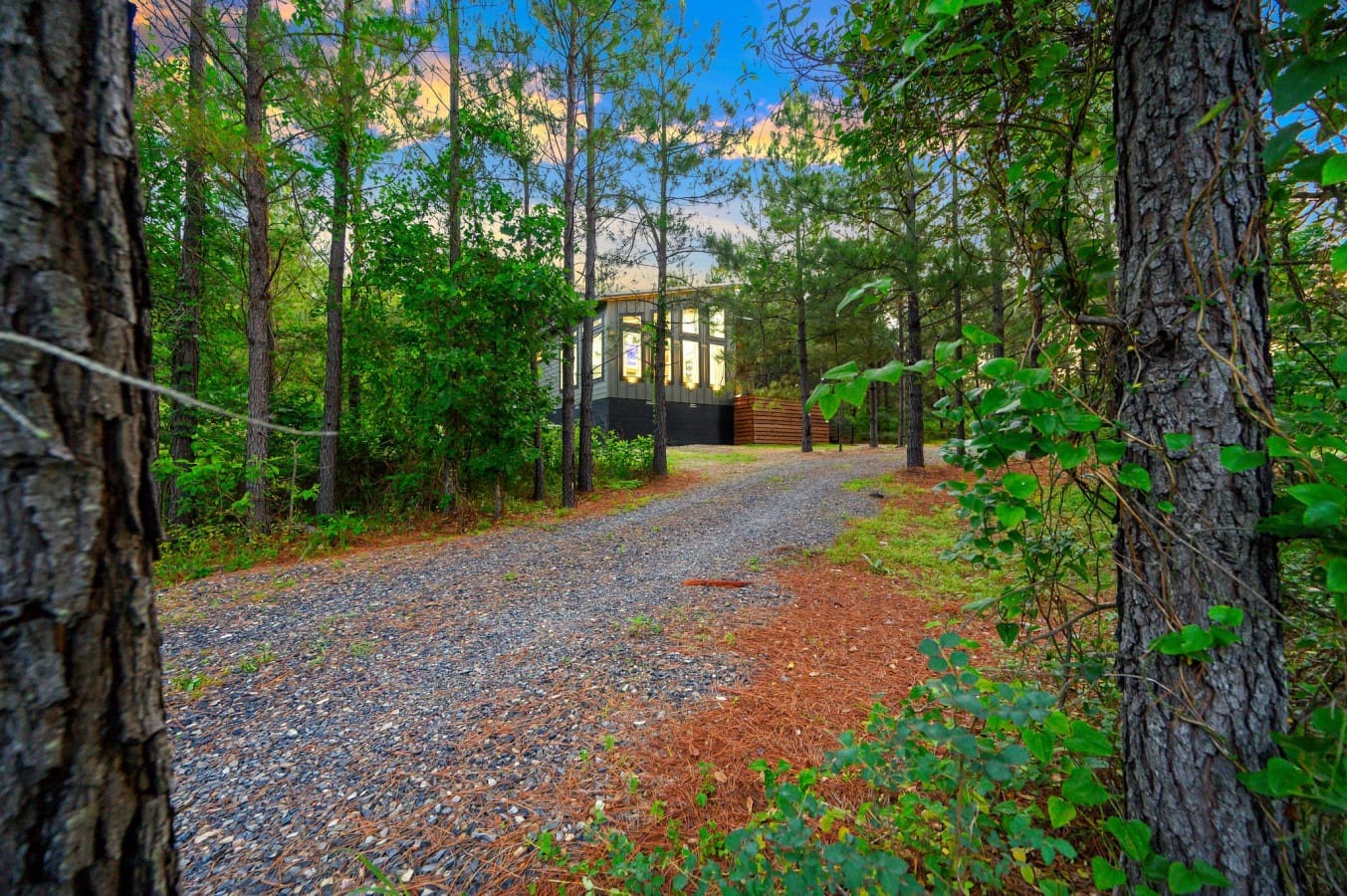 A serene welcome to your cabin in the woods