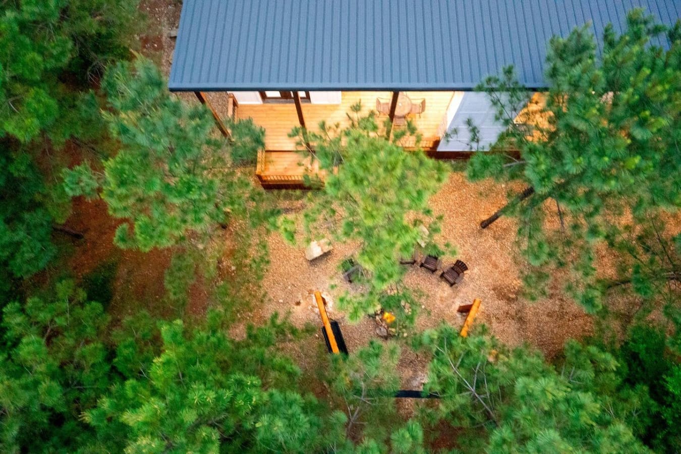 Nature’s embrace, captured from the treetops.