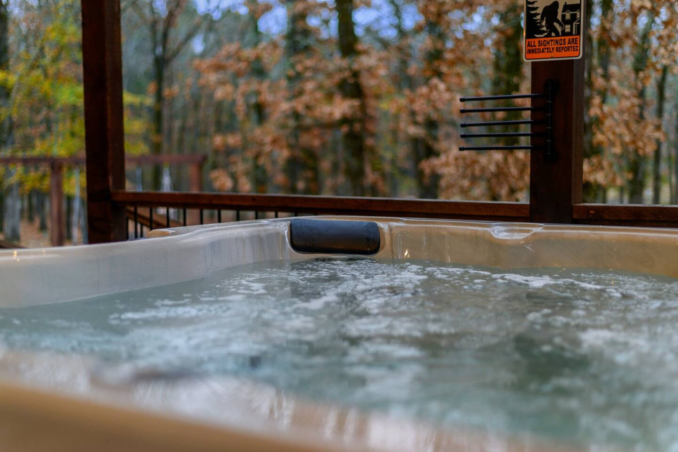 65934 445614 ScqKnlGxtj8IvqJCnJD2RSNlt04YhAWI9NAfrs9qbKY 68f970de42254.jpg