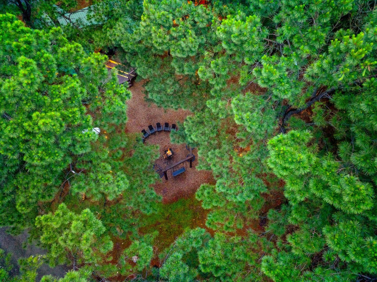 Nestled in nature, captured from above.