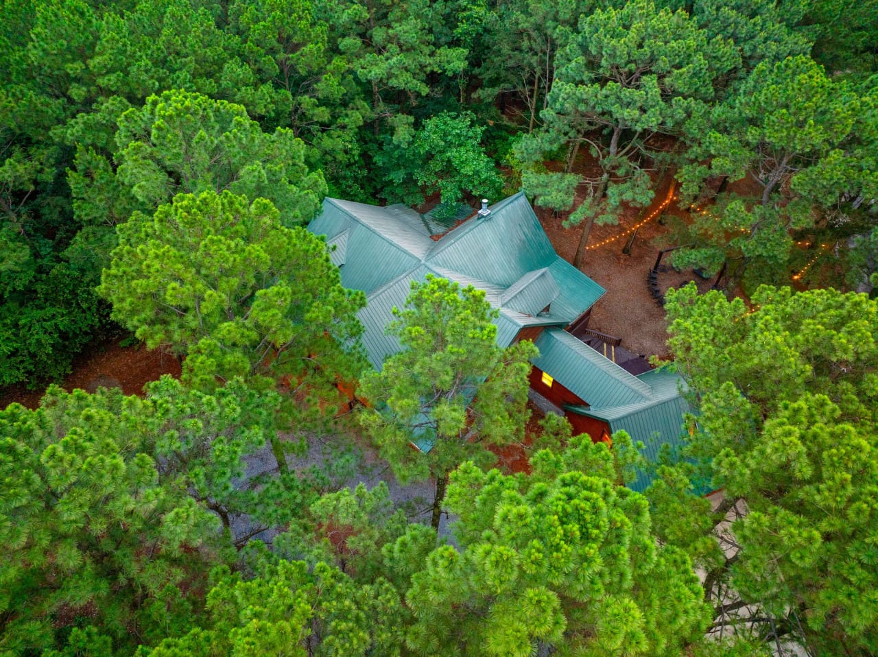 Where the forest meets comfort — this is your cabin.