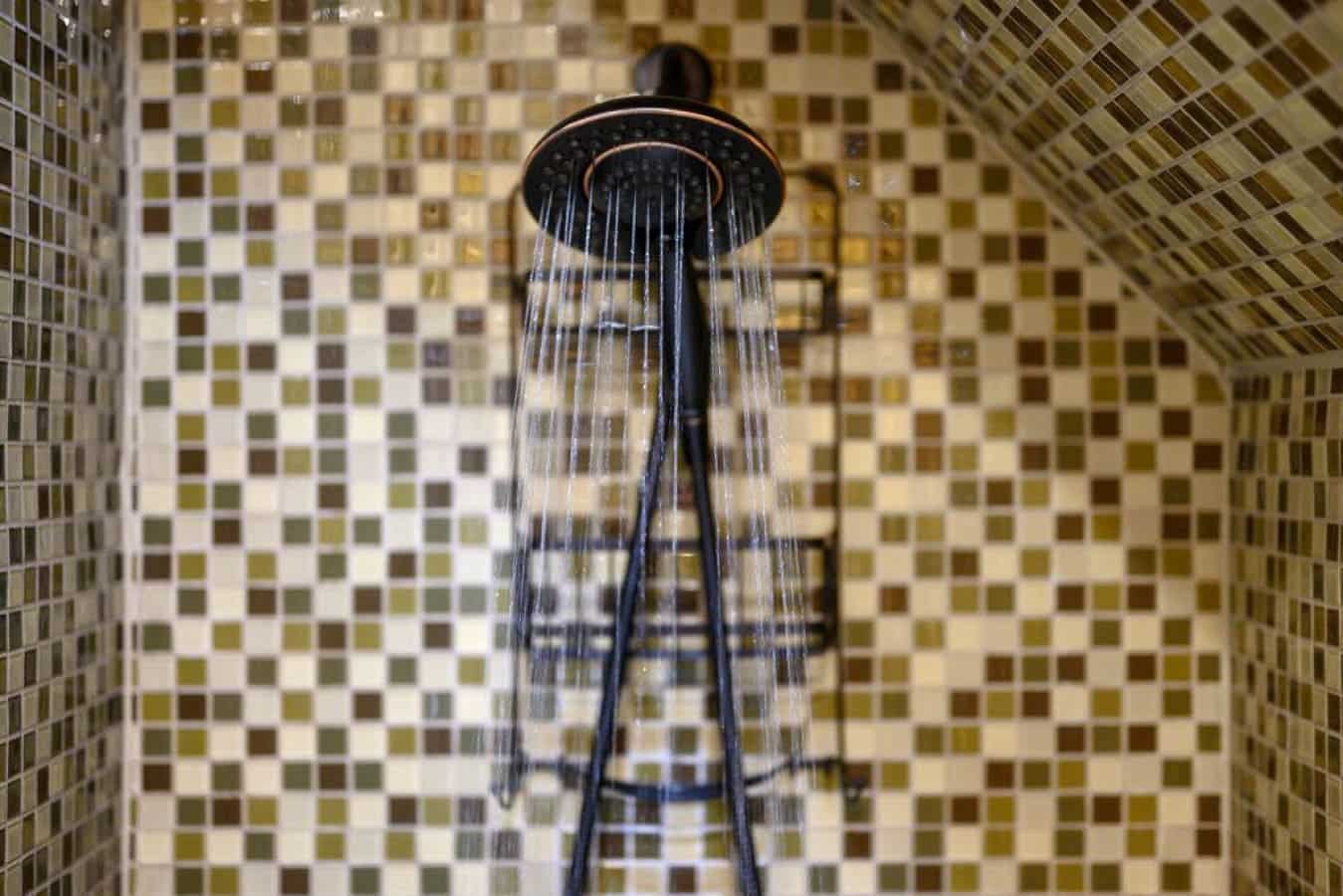 Secluded comfort: refresh in our tranquil cabin shower.