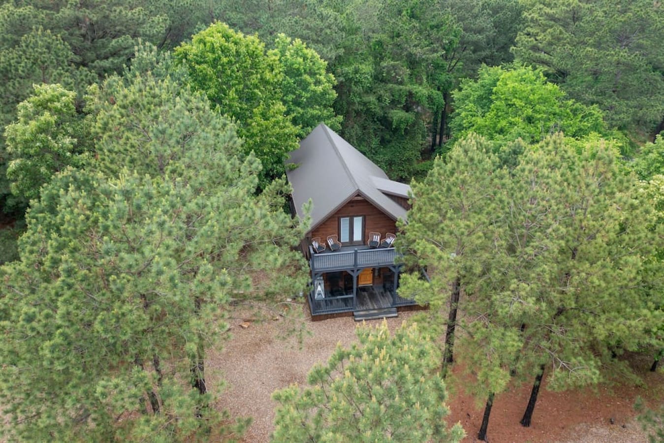 Among towering sentinels, our cabin finds solace.