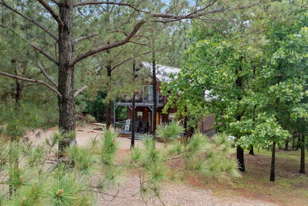 In the shade of giants, our cabin's tranquility knows no bounds.
