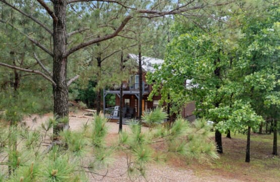 In the shade of giants, our cabin's tranquility knows no bounds.