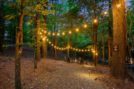 Amongst the giants, our cabin stands as a cozy retreat, adorned with string lights.