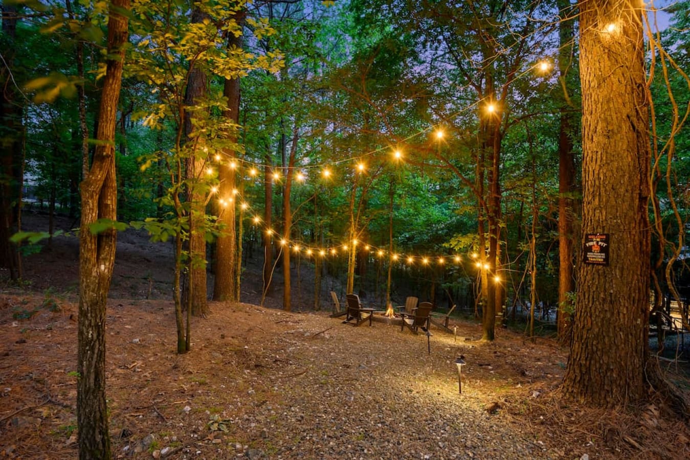 Amongst the giants, our cabin stands as a cozy retreat, adorned with string lights.