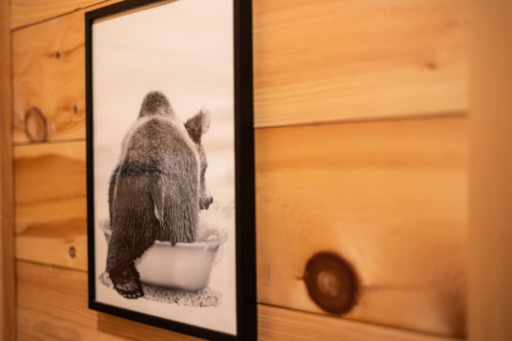 Echoes of the wild, framed with rustic charm.