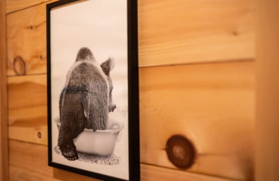 Echoes of the wild, framed with rustic charm.